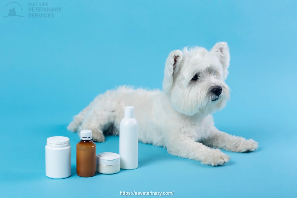 Vet Pharmacy