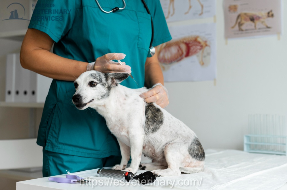 Pet Microchip